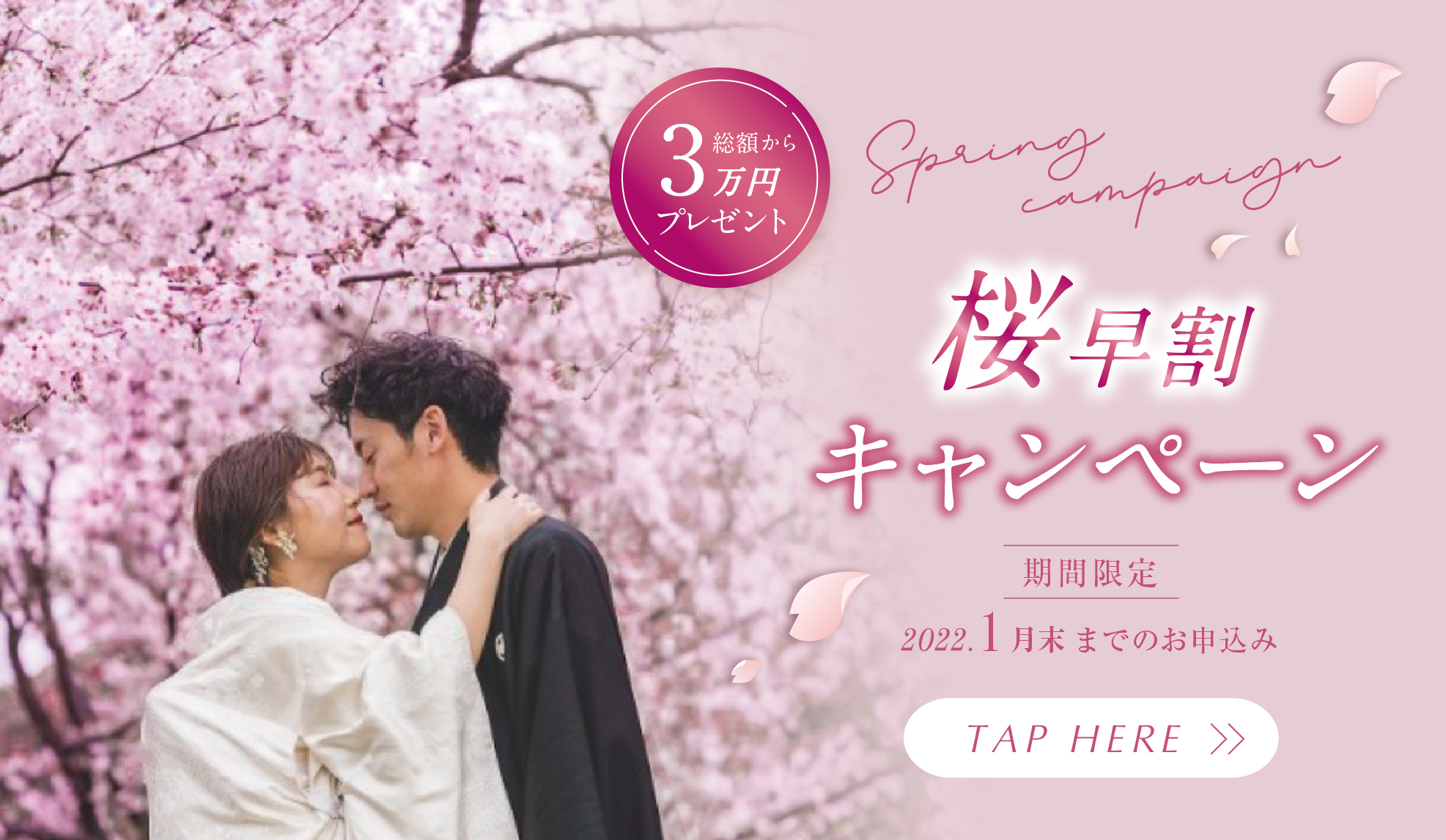 桜早割
